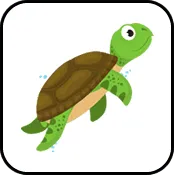 Conteudo Conhecendo Animais